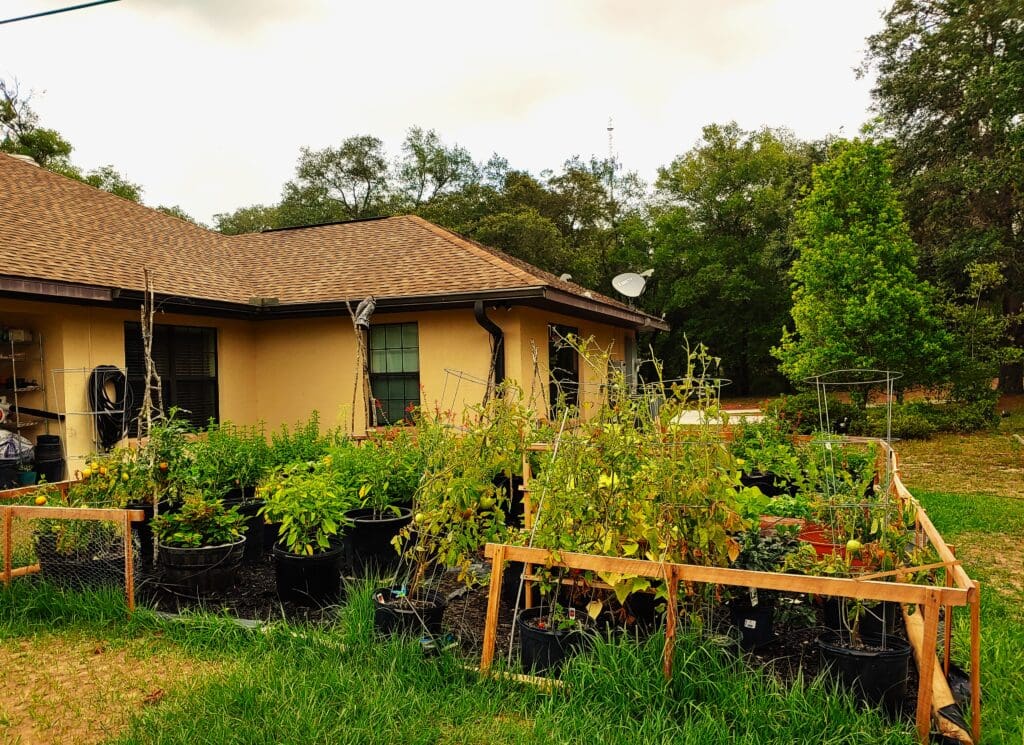 A house with many plants in the yard