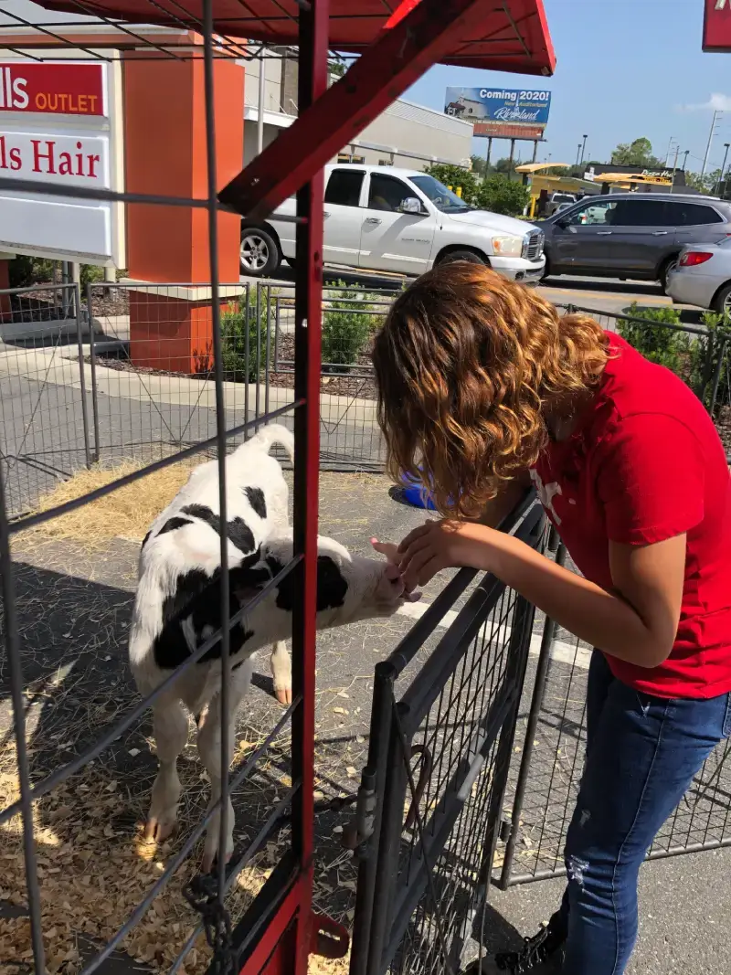 A woman feeding milk to a calf in a pen.