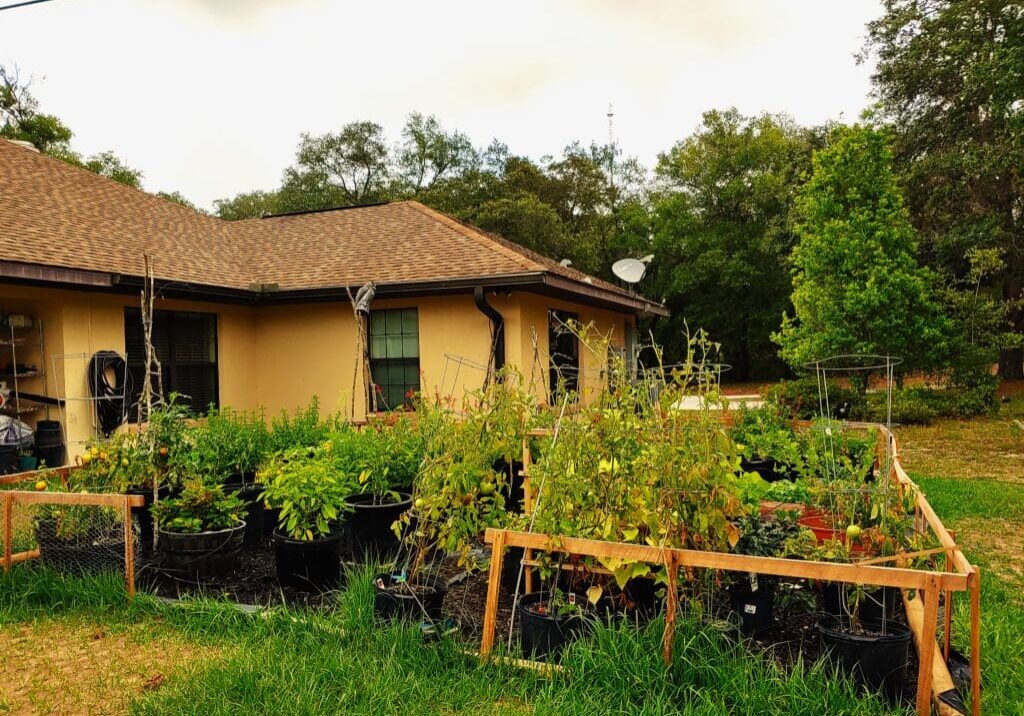 A house with many plants in the yard